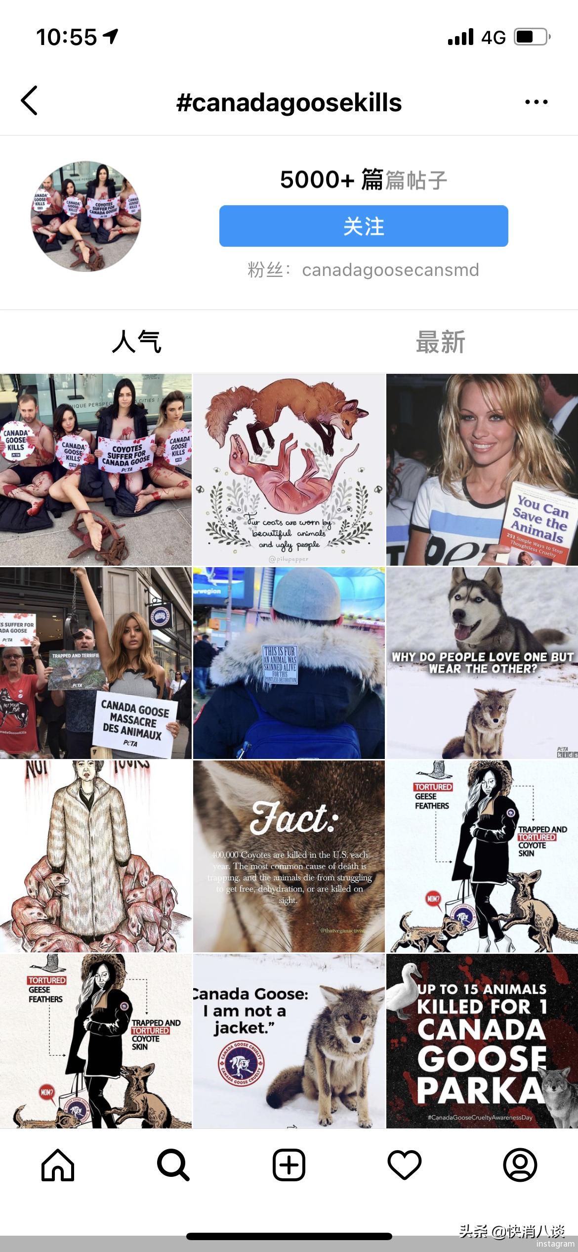 一件羽绒服100多块钱,加拿大鹅羽绒服都是鸭绒的吗