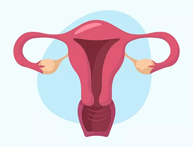 卵泡总是发育不成熟是怎么回事,卵泡发育慢长到有优势卵泡又不破