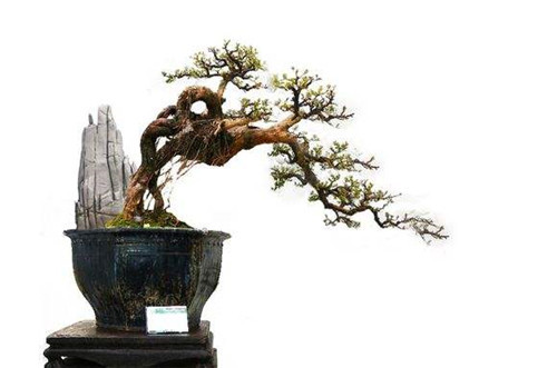 结婚送姐姐什么礼物最合适,结婚送女儿什么礼物最合适