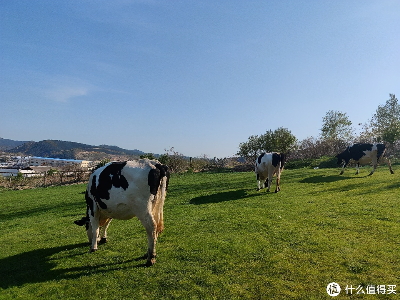 五一大连三寰牧场,大连三寰牧场旅游攻略