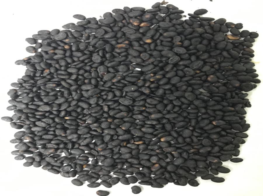 补骨脂可以补骨头吗,骨碎补和补骨脂哪个补骨效果好