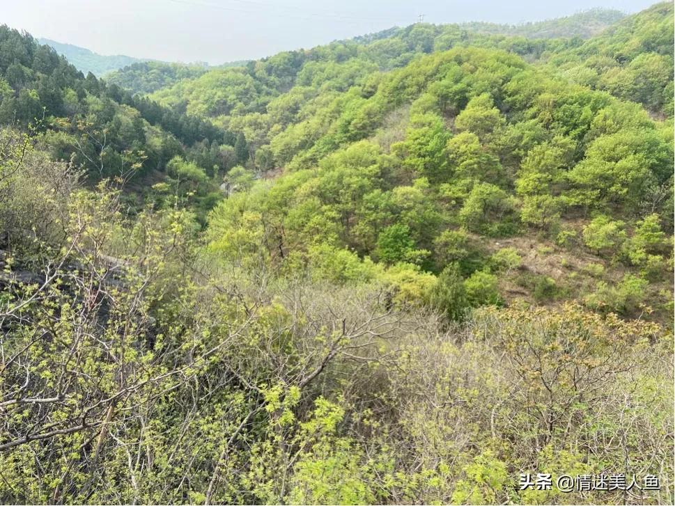 淘宝没流量怎么引流,店铺流量来源和店铺引流的方法