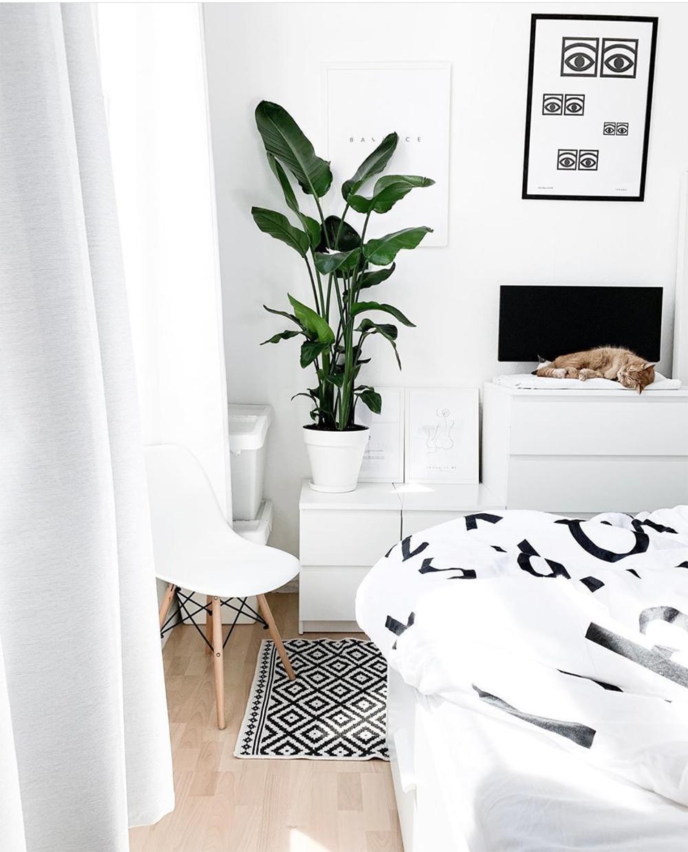 韩雪明星推荐好物,韩雪好物