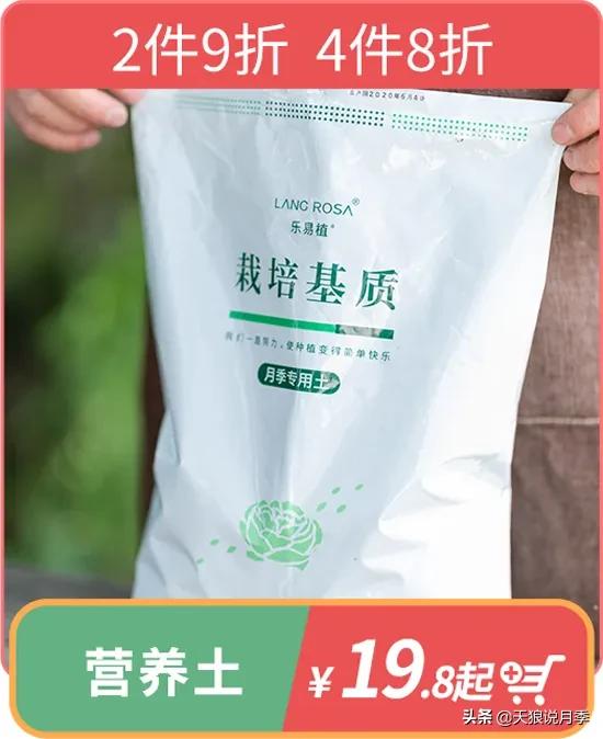 开新店买一送一活动,新店开业搞什么活动买十送十