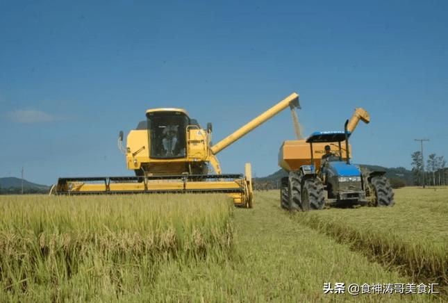 乌拉圭人平时最爱喝什么茶,乌拉圭人吃什么