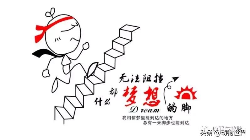 二十年春雨,春雨十年小说