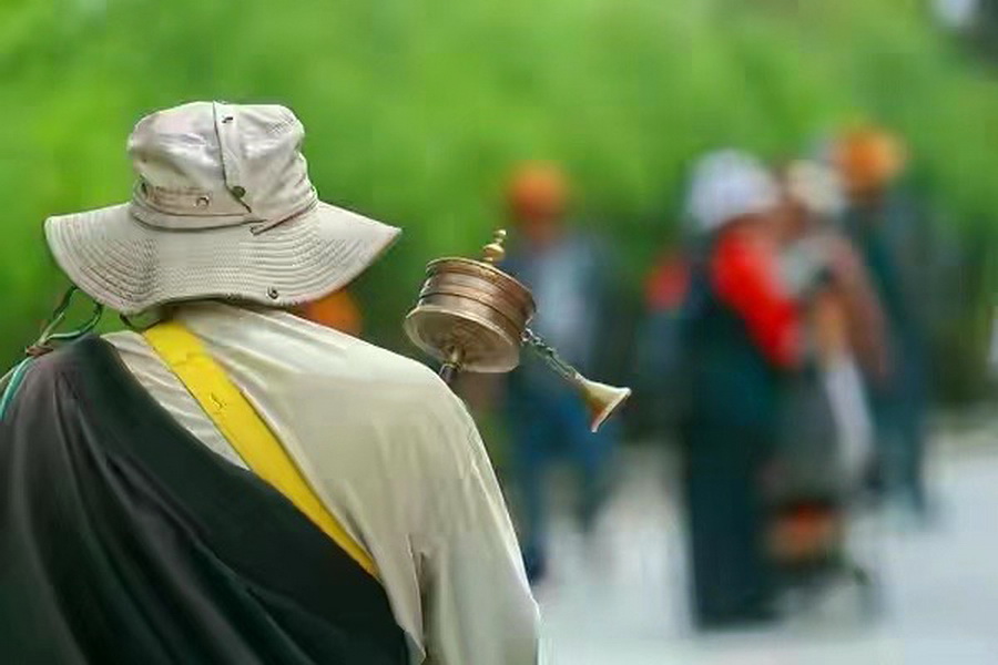 三月游拉萨:淡季出行游人少,看看住宿多便宜,有人问你高反了吗