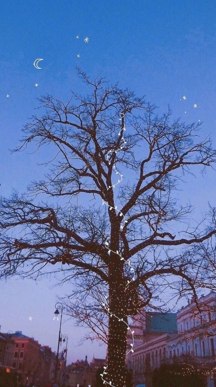 你最舍不得换的壁纸,朋友圈背景图插画