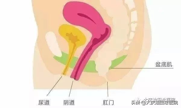 年轻女性尿失禁的3大主因是什么,大龄女性尿失禁的症状有多少个