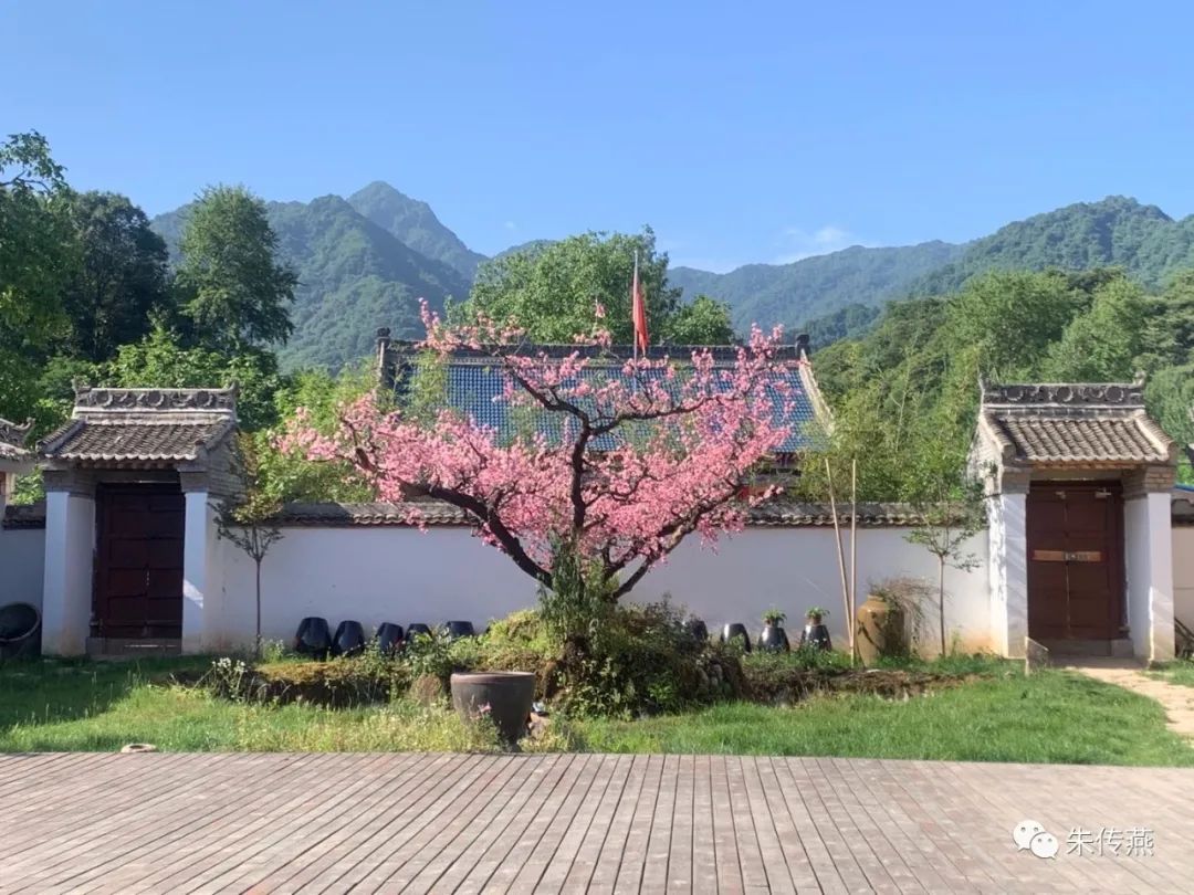 朱传燕美容店怎么样,美容院老板朱传燕