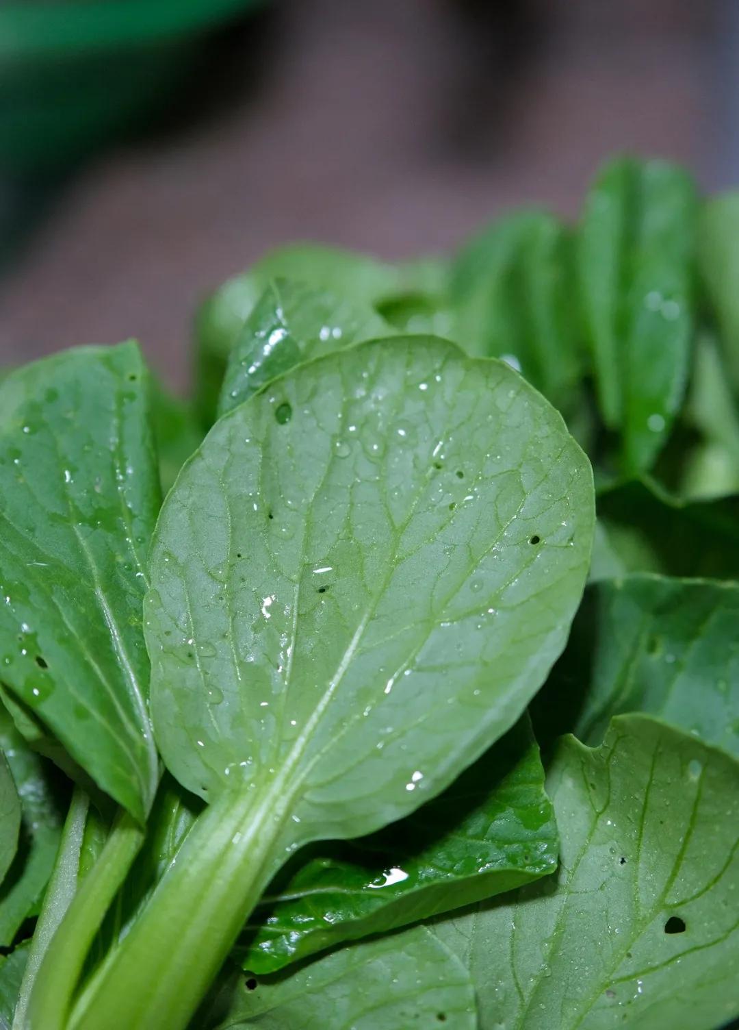 春分万物平分春色,春分是什么样的春天