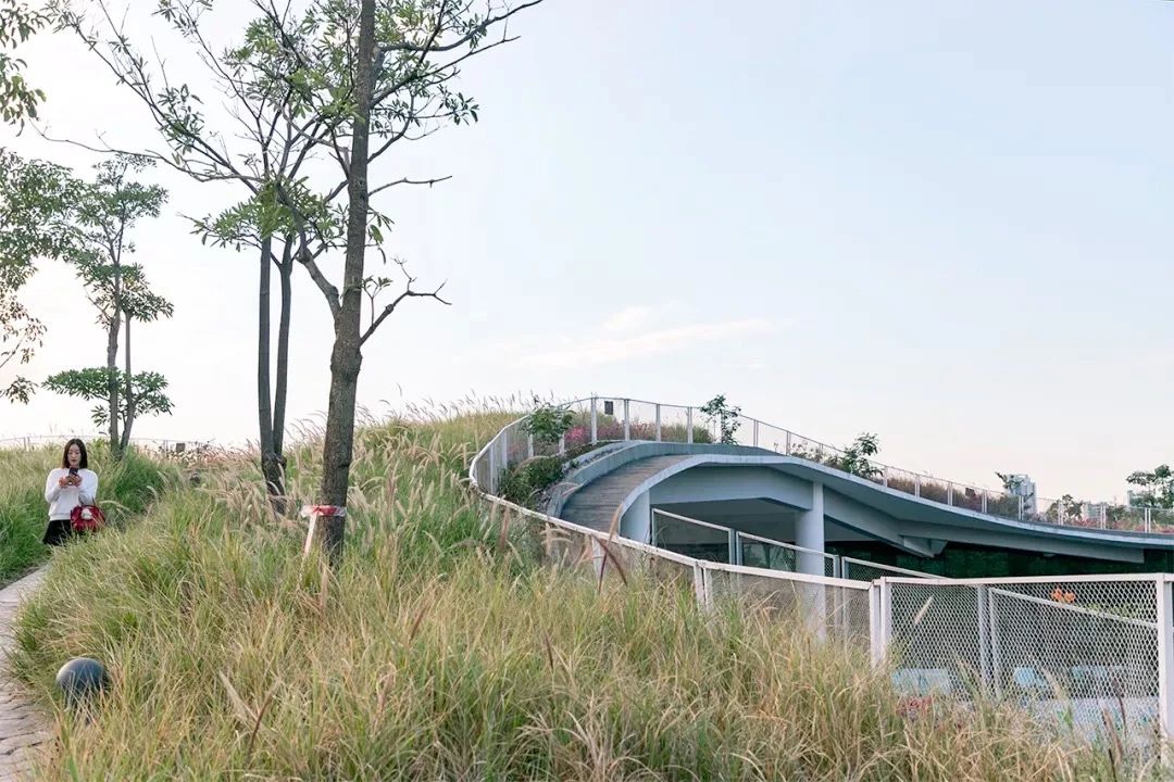 深圳周末浪漫好去处,深圳浪漫约会地点十个景点