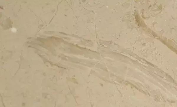 大理石选材,楼梯踏步大理石选材