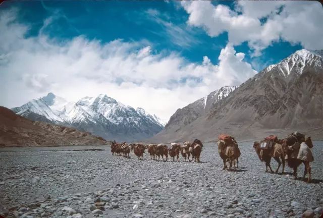 乔戈里峰k2野蛮巨峰,野蛮巨峰k2峰顶