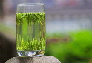 高品质绿茶竹叶青,中国高端绿茶竹叶青