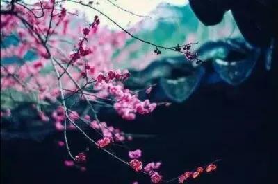 微电影爱情观阐述,微电影赏析视频