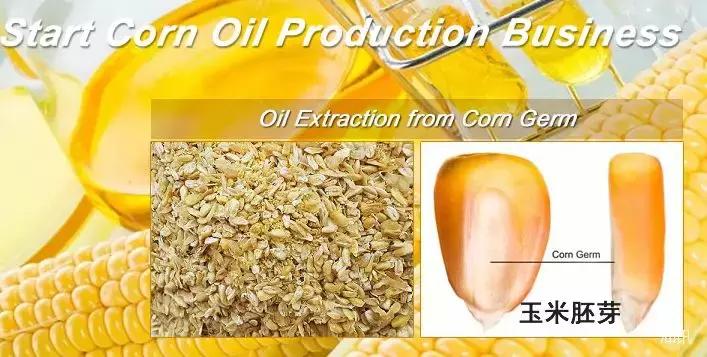 中国玉米油,玉米油从什么时代开始有的