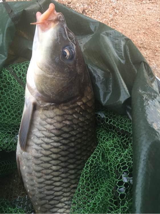 防止钓鱼脱钩跑鱼口诀,钓鱼怎么防止脱钩