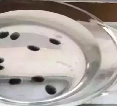 2元的盘珠手串,莲子手串怎么盘