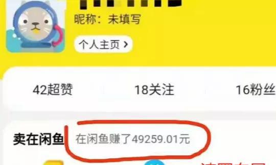 闲鱼如何快速赚钱一天能赚多少钱,闲鱼运营技巧闲鱼赚钱的方法