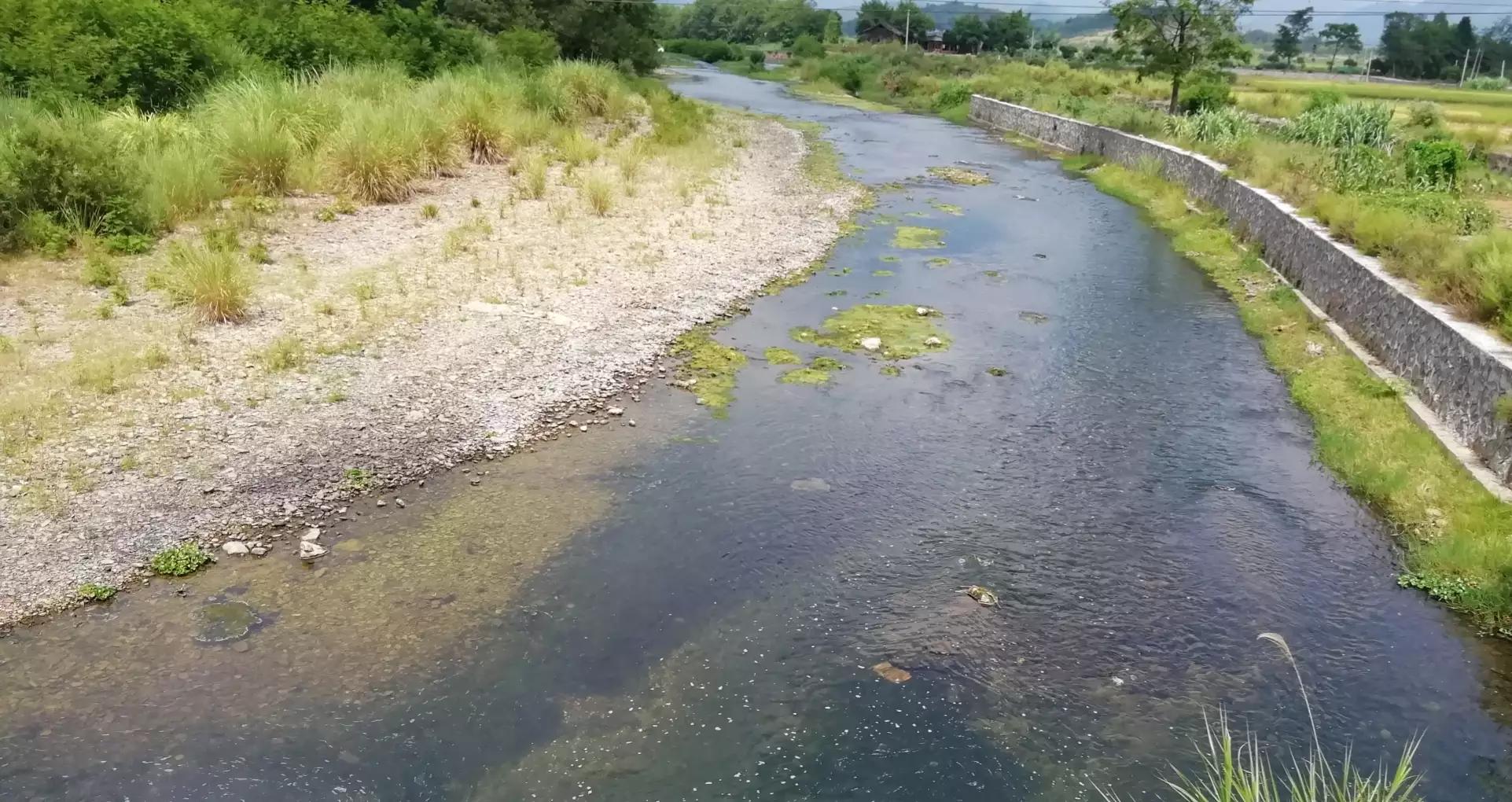 道德经中的阴阳辩证思想,道德经全书第二十九章解析