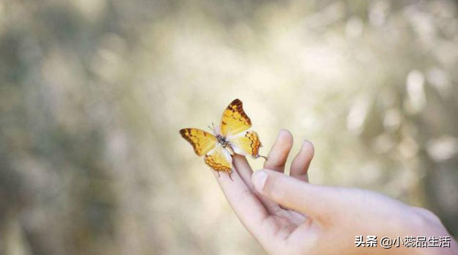 世界上真的存在钢铁直男吗,世界上没有什么真正的钢铁直男