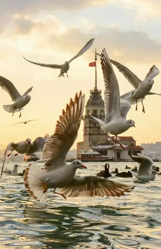 送给实在没有心眼的自己,没脑子没心眼心太软