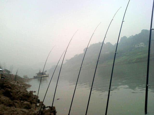 好多人都钓不到鱼,很多人钓不到大鱼