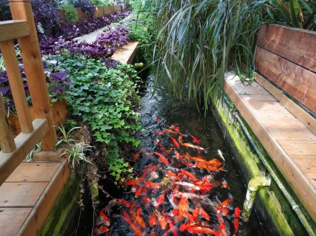 120亩自然营地,120公顷的庄园