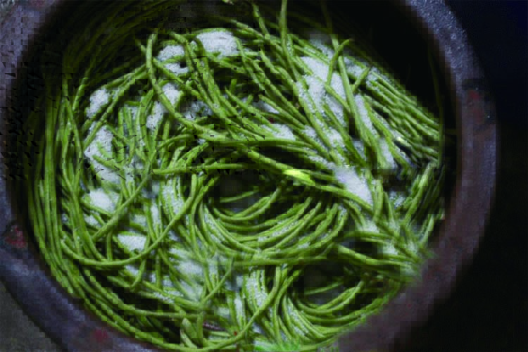 腌豆角怎么腌才能好吃,腌制豆角怎么腌才好吃又不坏