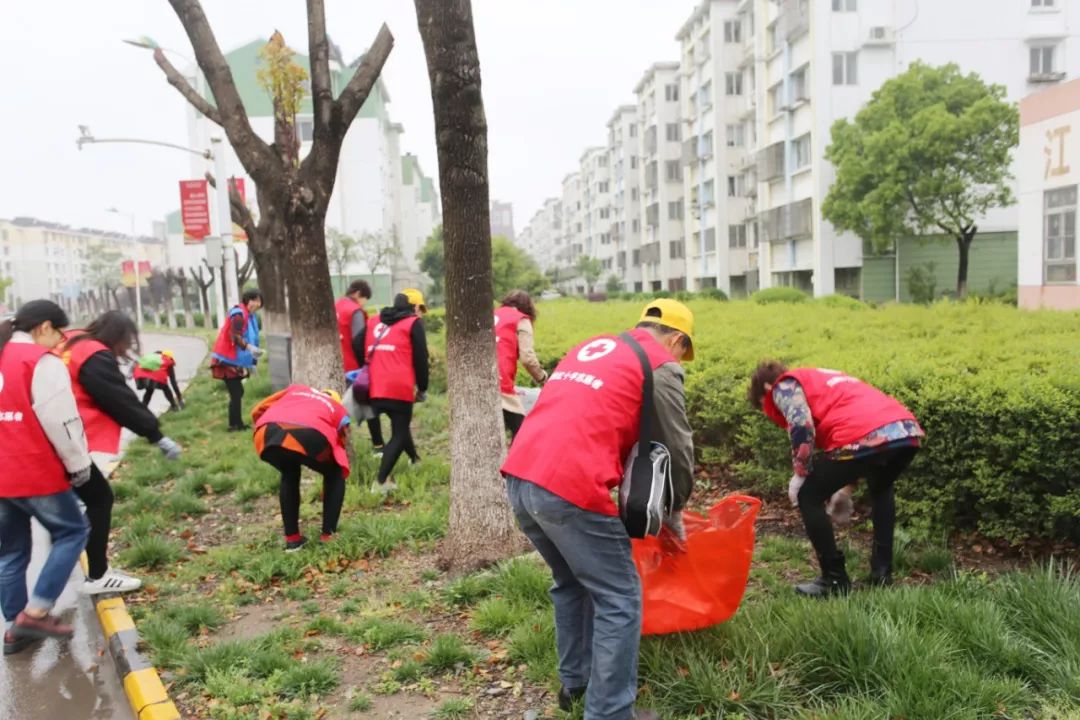 江阴申港街道规划,江苏江阴美丽乡村建设