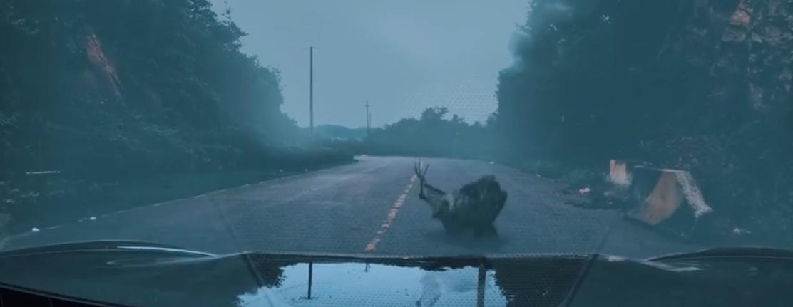 国产冷门奇幻电影,国产女主颜值超高的电影