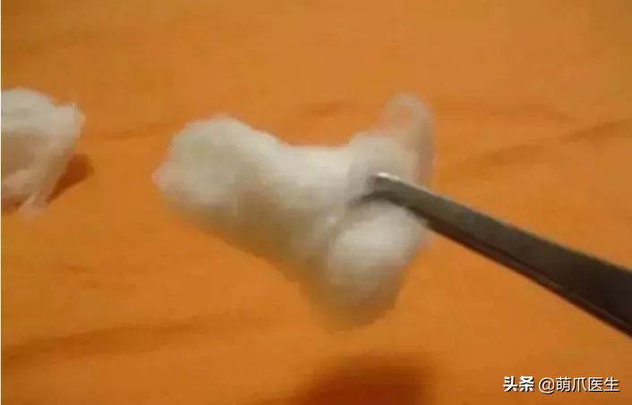 给猫狗清洁耳道切勿用镊子缠棉花捅插，这样做才是正确做法