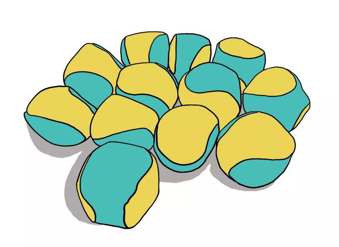 steam教育哪家比较好,steam教育是怎么样的