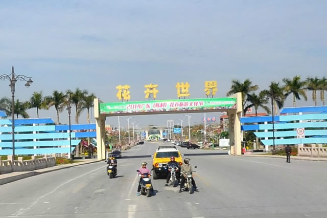 广东多地迎最美赏花季,广东十大热门赏花地