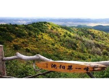 沈阳国家森林公园的动物园,沈阳森林动物园风景