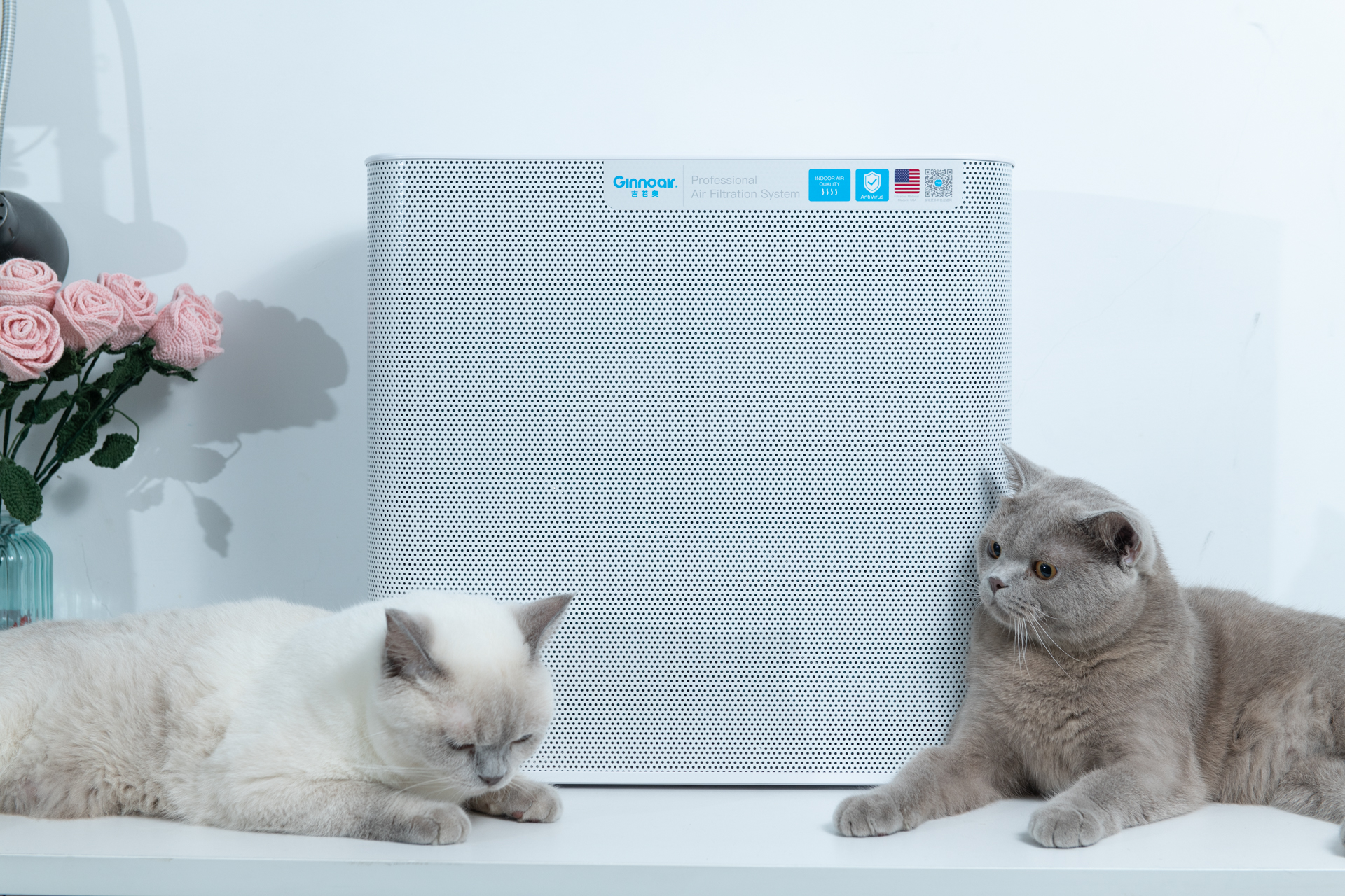 吉若奥mini空气净化器,吉若奥空气净化器测评