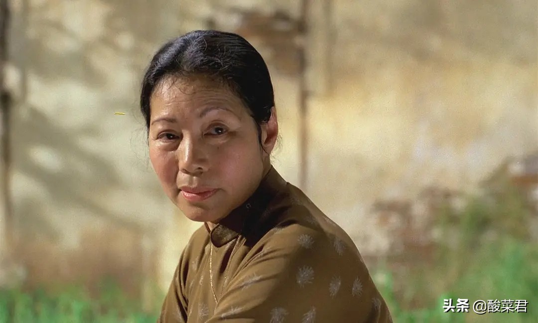 青木瓜之味越南,越南电影青木瓜