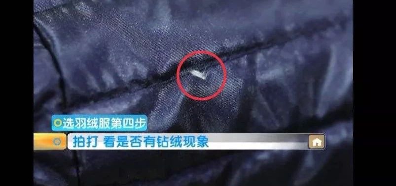 100%白鸭绒羽绒超轻高档大气,纯鸭绒羽绒高品质