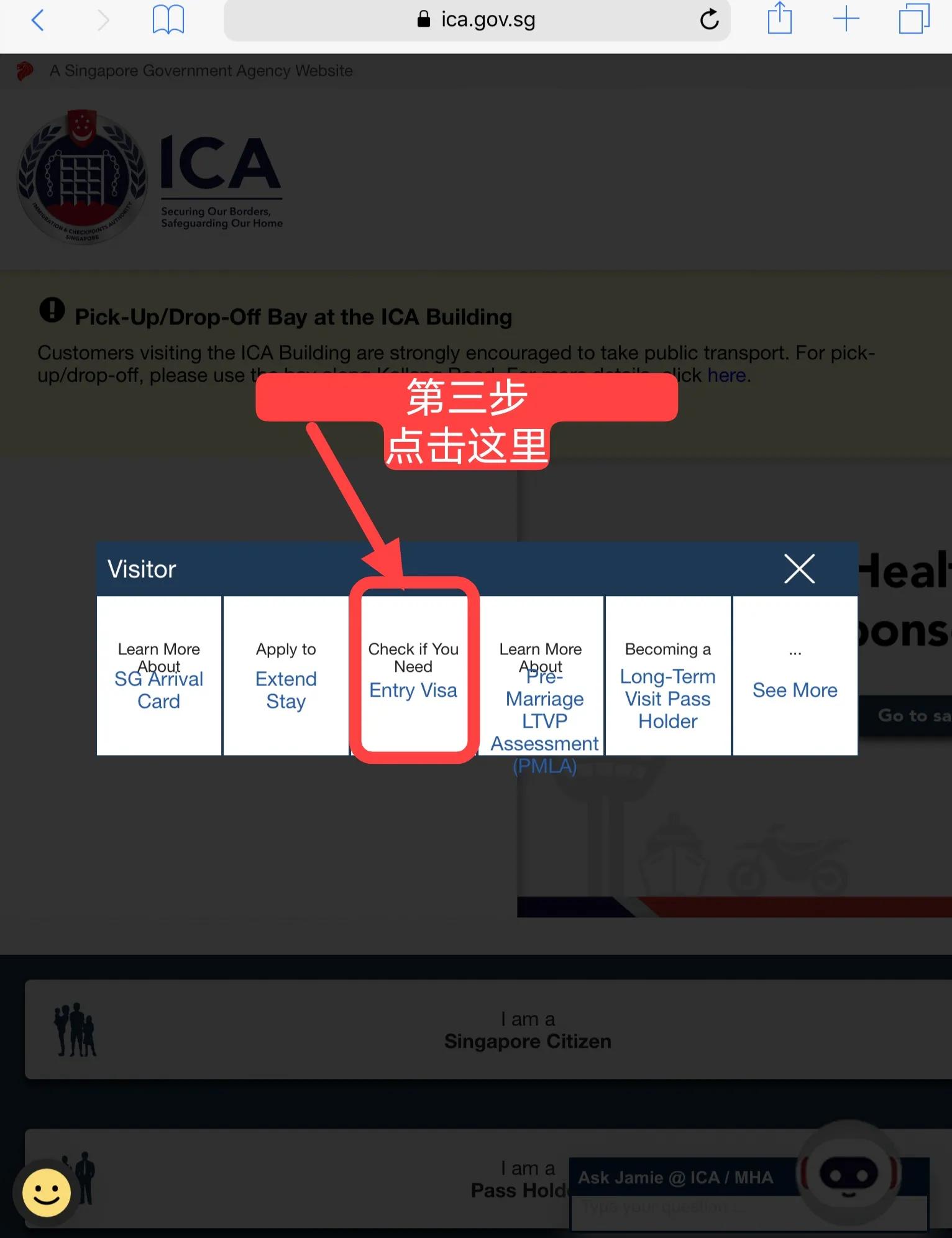 新加坡签证怎么查询是否获签,新加坡签证网上查询官网入口网址