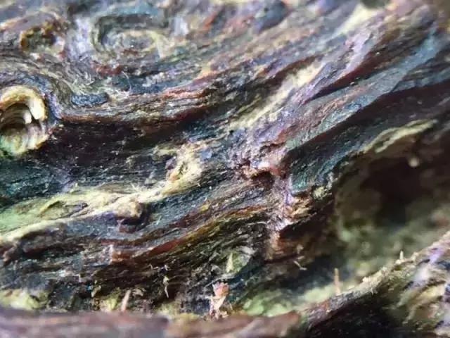 精选名贵沉香,沉香收藏级精品