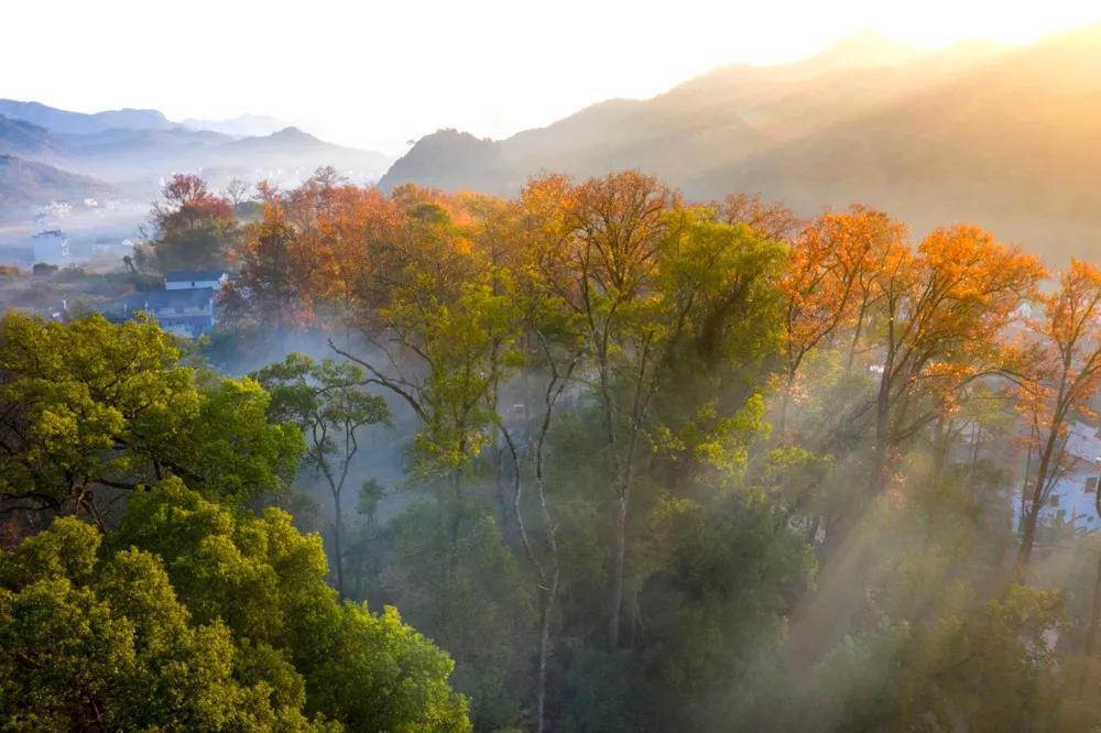 10月下旬徽州摄影推荐,金秋皖南婺源摄影之旅