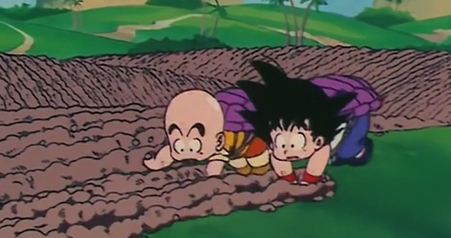 龙珠中龟仙人的武功是从哪里来的,龙珠龟仙人真正实力