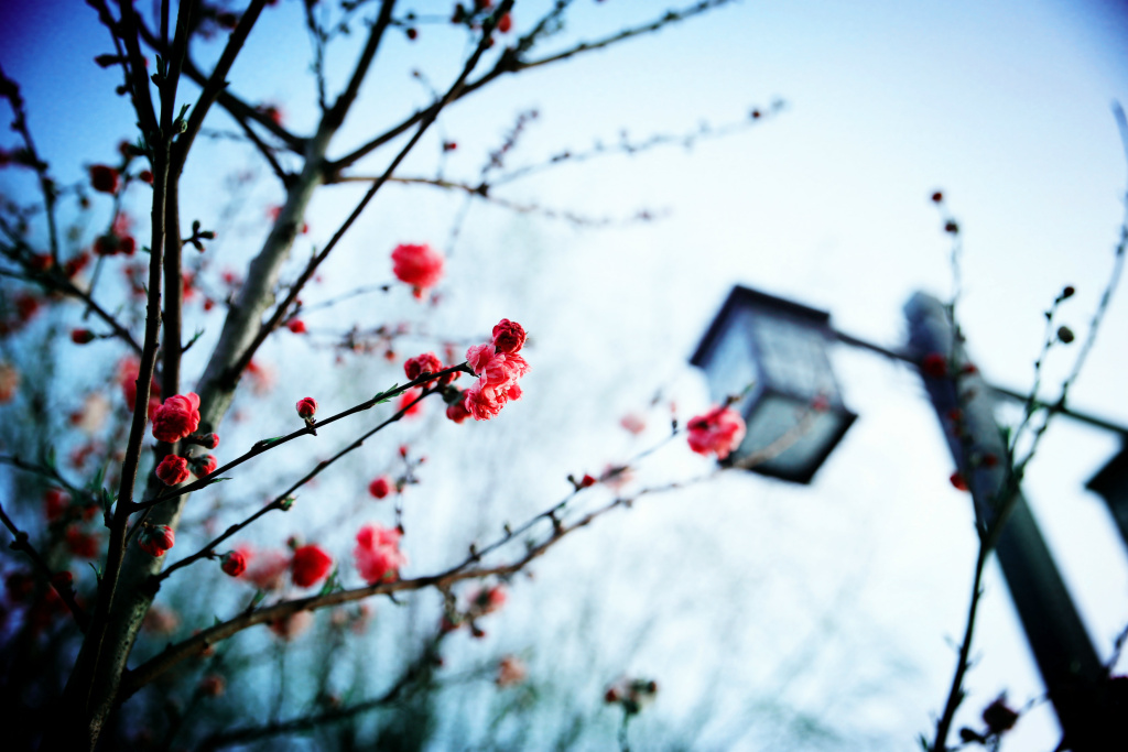 於潜景区,於潜镇有什么旅游景点