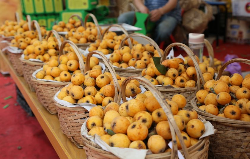 塘栖枇杷跟苏州东山枇杷哪个好吃,塘栖白沙枇杷和黄沙枇杷的区别