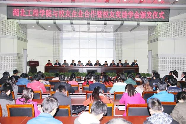 迪斯熊所有作品,迪斯熊