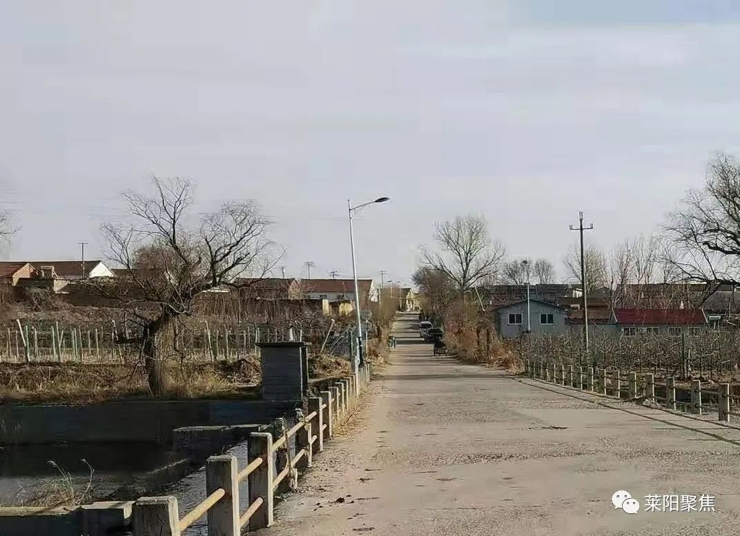 莱阳最古老的村,莱阳朱耩村