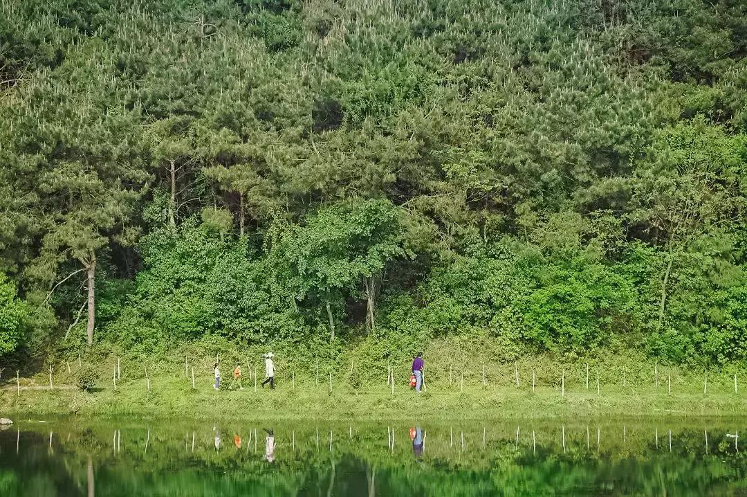 武汉人民的福利,武汉人民幸福满满