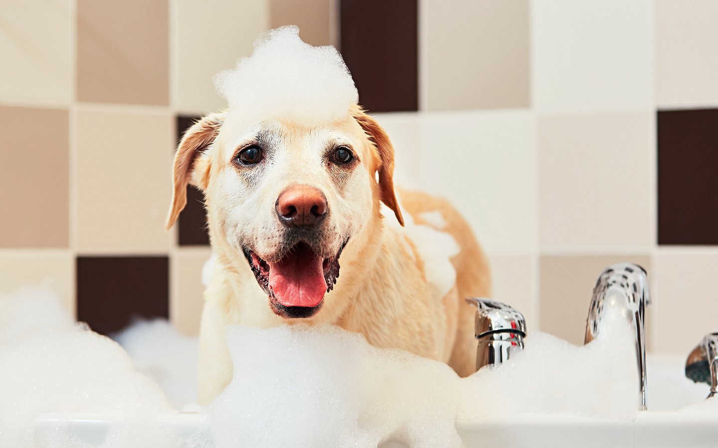 不想和男朋友的朋友合租,不想男朋友和别人合租