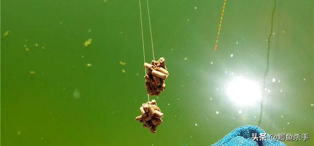 夏天野钓大鲫鱼怎么打窝避小鱼,野钓打什么窝料避小鱼